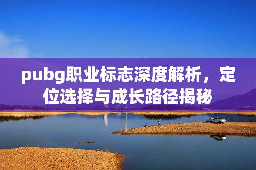 pubg职业标志深度解析，定位选择与成长路径揭秘