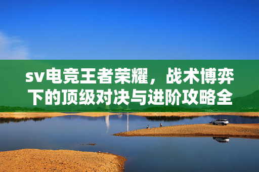 sv电竞王者荣耀，战术博弈下的顶级对决与进阶攻略全解析