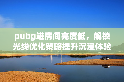 pubg进房间亮度低，解锁光线优化策略提升沉浸体验