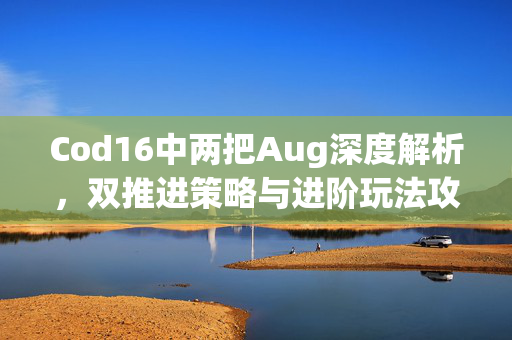 Cod16中两把Aug深度解析，双推进策略与进阶玩法攻略