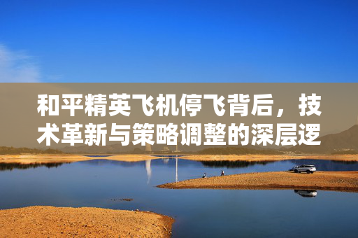 和平精英飞机停飞背后，技术革新与策略调整的深层逻辑