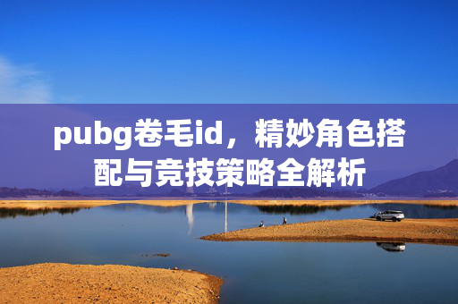 pubg卷毛id，精妙角色搭配与竞技策略全解析