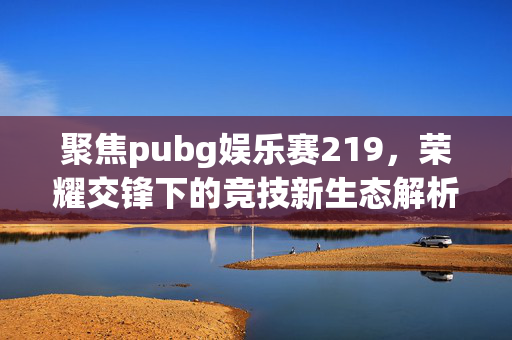 聚焦pubg娱乐赛219，荣耀交锋下的竞技新生态解析与备考指南