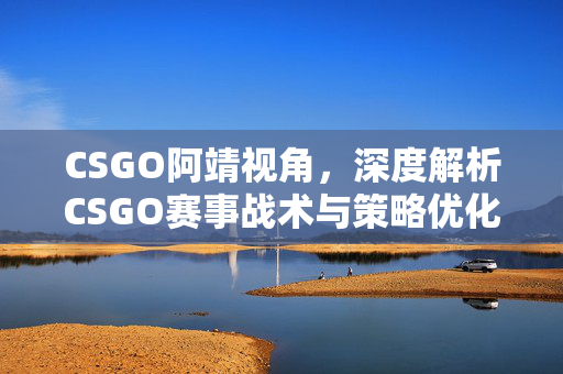 CSGO阿靖视角，深度解析CSGO赛事战术与策略优化指南