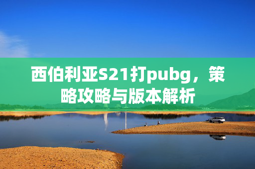 西伯利亚S21打pubg，策略攻略与版本解析