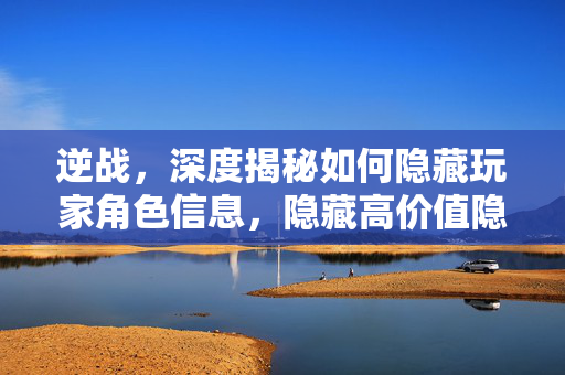 逆战，深度揭秘如何隐藏玩家角色信息，隐藏高价值隐私优势