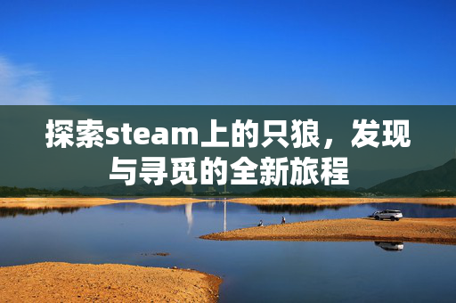 探索steam上的只狼，发现与寻觅的全新旅程