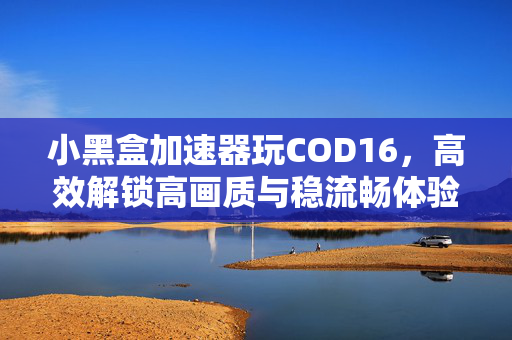 小黑盒加速器玩COD16，高效解锁高画质与稳流畅体验的攻略指南