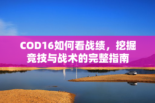 COD16如何看战绩，挖掘竞技与战术的完整指南