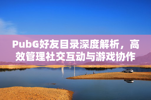 PubG好友目录深度解析，高效管理社交互动与游戏协作的实用指南