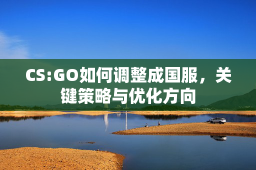 CS:GO如何调整成国服，关键策略与优化方向