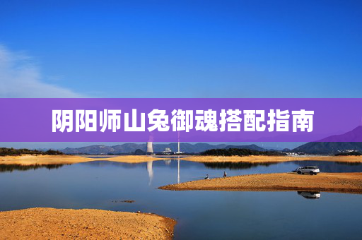 阴阳师山兔御魂搭配指南