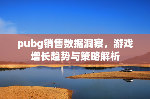 pubg销售数据洞察，游戏增长趋势与策略解析