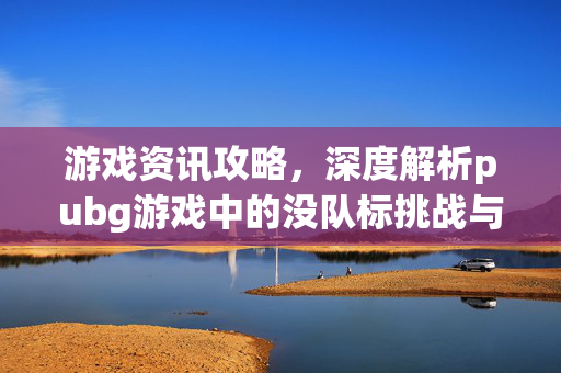游戏资讯攻略，深度解析pubg游戏中的没队标挑战与应对策略