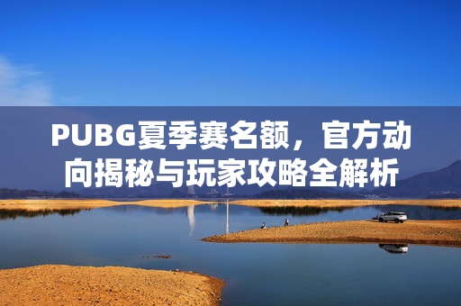 PUBG夏季赛名额，官方动向揭秘与玩家攻略全解析
