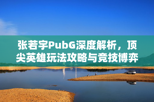 张若宇PubG深度解析，顶尖英雄玩法攻略与竞技博弈剖析