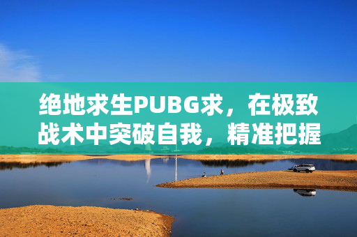 绝地求生PUBG求，在极致战术中突破自我，精准把握生存与技巧