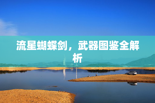流星蝴蝶剑，武器图鉴全解析