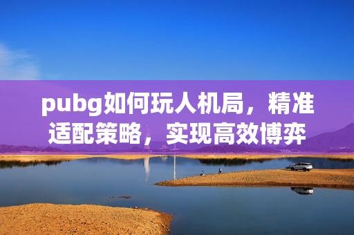 pubg如何玩人机局，精准适配策略，实现高效博弈