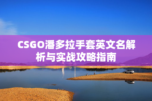 CSGO潘多拉手套英文名解析与实战攻略指南