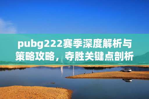 pubg222赛季深度解析与策略攻略，夺胜关键点剖析