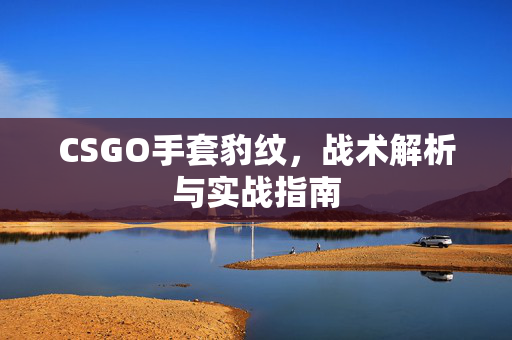 CSGO手套豹纹，战术解析与实战指南