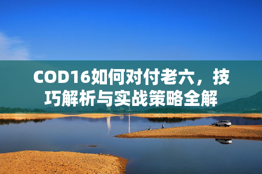 COD16如何对付老六，技巧解析与实战策略全解