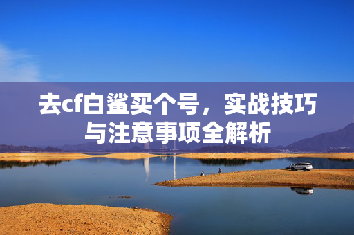 去cf白鲨买个号，实战技巧与注意事项全解析