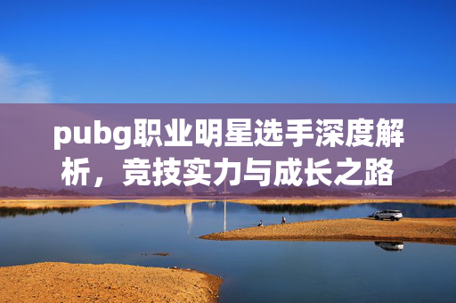 pubg职业明星选手深度解析，竞技实力与成长之路