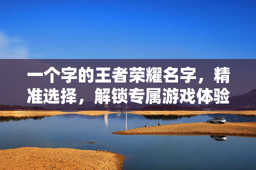 一个字的王者荣耀名字，精准选择，解锁专属游戏体验