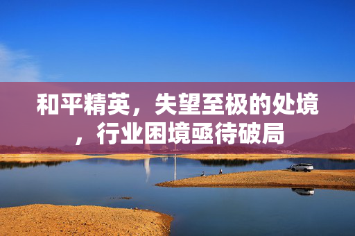 和平精英，失望至极的处境，行业困境亟待破局