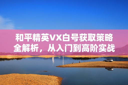 和平精英VX白号获取策略全解析，从入门到高阶实战的完整指南