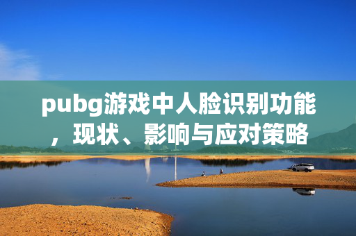 pubg游戏中人脸识别功能，现状、影响与应对策略