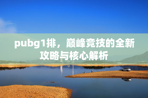 pubg1排，巅峰竞技的全新攻略与核心解析