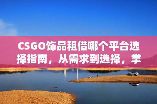 CSGO饰品租借哪个平台选择指南，从需求到选择，掌握高效租借技巧