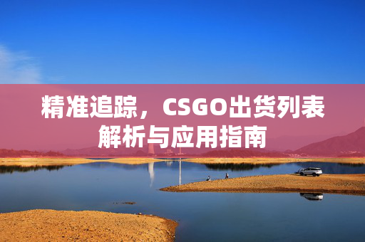 精准追踪，CSGO出货列表解析与应用指南
