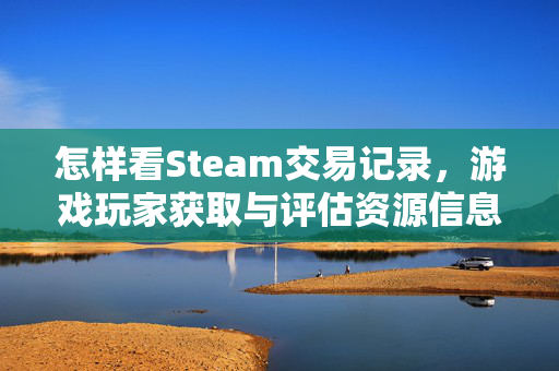 怎样看Steam交易记录，游戏玩家获取与评估资源信息的实用指南