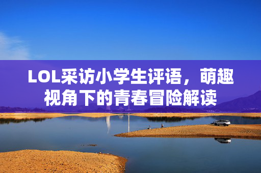 LOL采访小学生评语，萌趣视角下的青春冒险解读