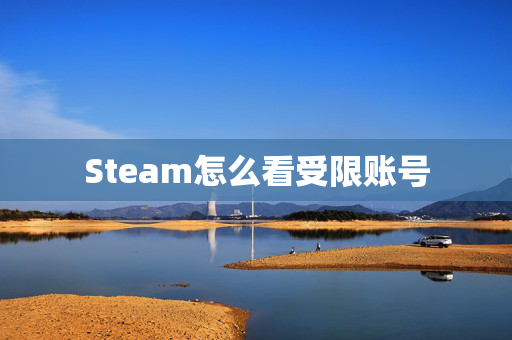 Steam怎么看受限账号