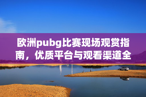 欧洲pubg比赛现场观赏指南，优质平台与观看渠道全解析