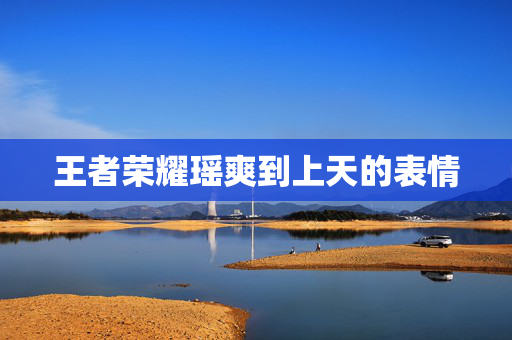 王者荣耀瑶爽到上天的表情