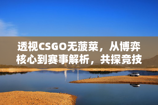 透视CSGO无菠菜，从博弈核心到赛事解析，共探竞技新逻辑