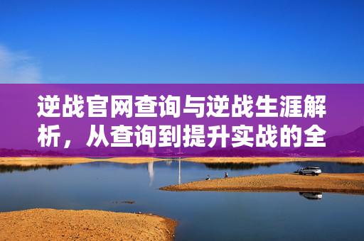 逆战官网查询与逆战生涯解析，从查询到提升实战的全流程指南
