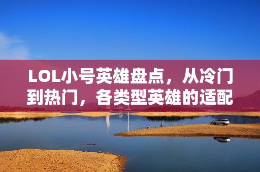 LOL小号英雄盘点，从冷门到热门，各类型英雄的适配与玩法解析