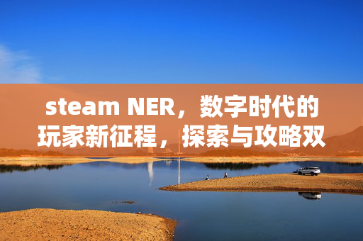 steam NER，数字时代的玩家新征程，探索与攻略双重指南