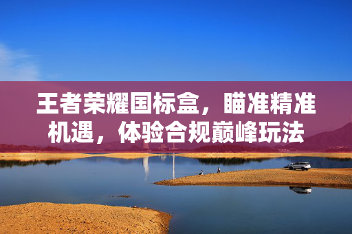 王者荣耀国标盒，瞄准精准机遇，体验合规巅峰玩法