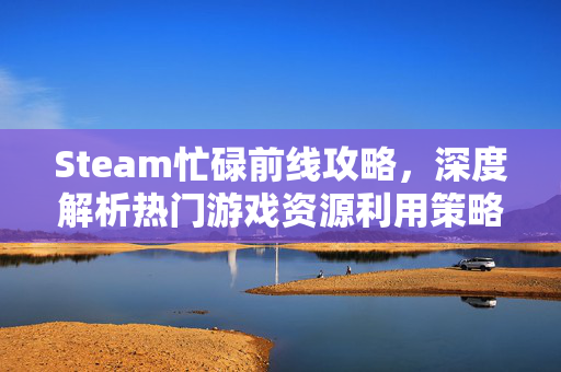 Steam忙碌前线攻略，深度解析热门游戏资源利用策略
