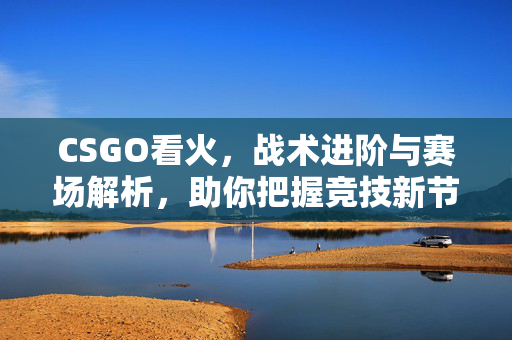 CSGO看火，战术进阶与赛场解析，助你把握竞技新节奏