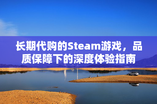 长期代购的Steam游戏，品质保障下的深度体验指南