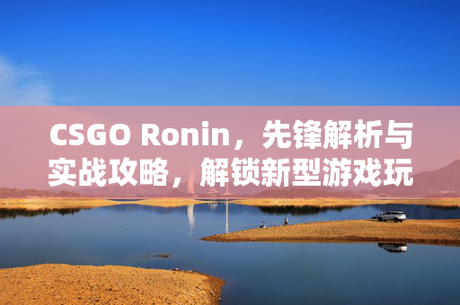 CSGO Ronin，先锋解析与实战攻略，解锁新型游戏玩法新路径
